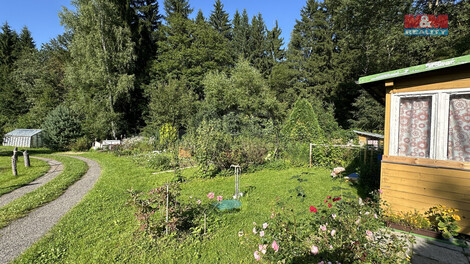 916/foto12_11365538_rluh0.jpg