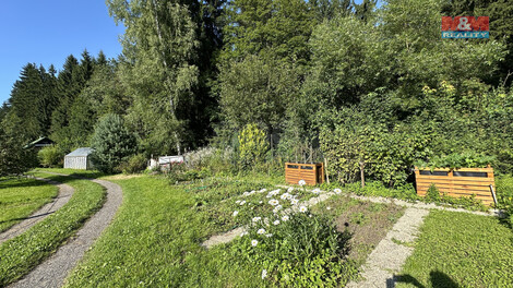 916/foto12_11365538_yz6h8.jpg
