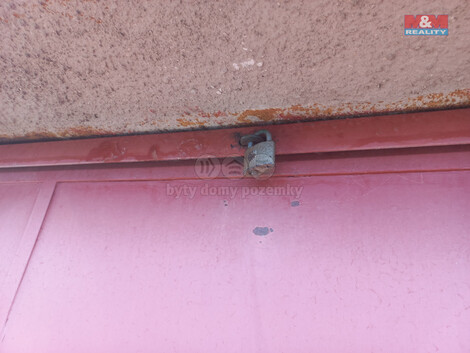 916/foto12_11366009_cnzz0.jpg