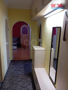 917/foto12_11363870_1ys2k.jpg