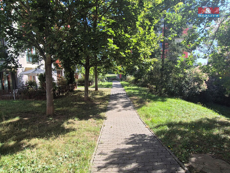 917/foto12_11364417_gipkg.jpg