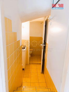 917/foto12_11364920_3ozks.jpg