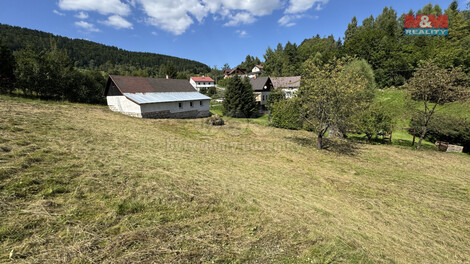 917/foto12_11364996_1bfjok.jpg