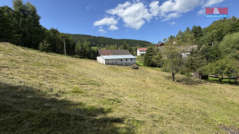 917/foto12_11364996_75vy8.jpg