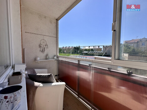917/foto12_11364997_svzyw.jpg