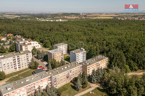 917/foto12_11365488_kz9w4.jpg