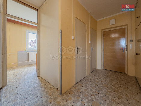 917/foto12_11365990_mxyyc.jpg