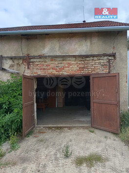 917/foto12_11369500_yfluk.jpg