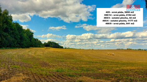 917/foto12_11371628_1n810c.jpg