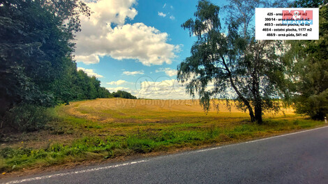 917/foto12_11371628_tljvk.jpg