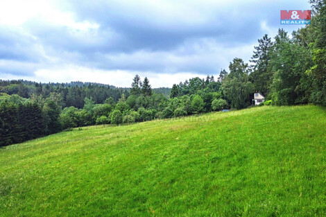 917/foto12_11372070_xxeog.jpg
