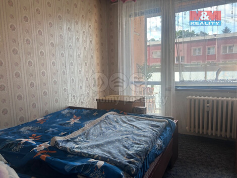 918/foto12_11371126_fj5mo.jpg