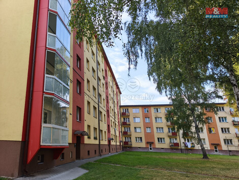 918/foto12_11371529_1jsra0.jpg