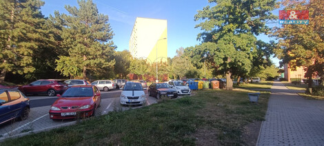 918/foto12_11371613_i9los.jpg