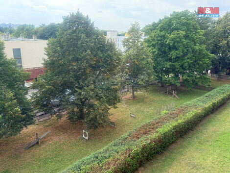 918/foto12_11372497_9k3qc.jpg