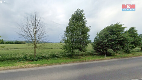 918/foto12_11372527_1a1kx0.jpg