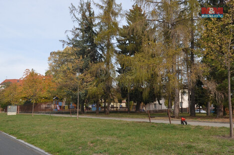 918/foto12_11373138_hc1cs.jpg