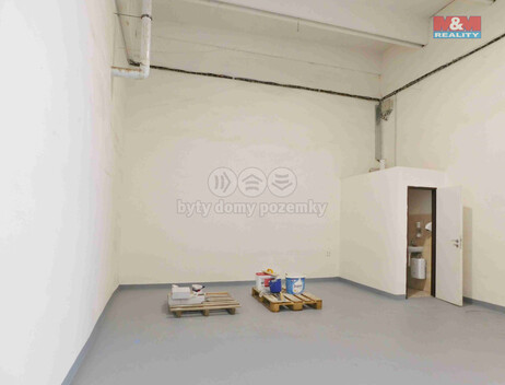 918/foto12_11373696_1ggxgs.jpg