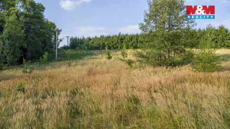 918/foto12_11484292_6lqpw.jpg