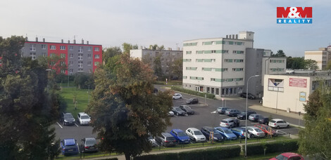 919/foto12_11380383_8c63g.jpg