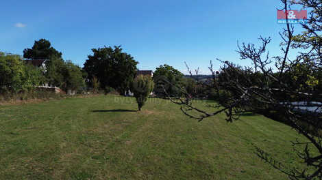 919/foto12_11383827_ck6js.jpg
