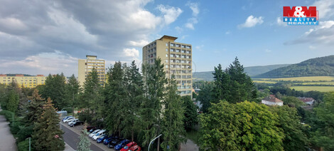 920/foto12_11380371_65yqo.jpg