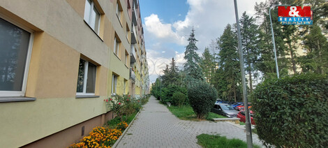 920/foto12_11380371_dstq4.jpg