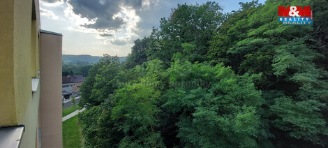 920/foto12_11380371_s1lu0.jpg