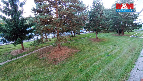 920/foto12_11380394_gkdg0.jpg