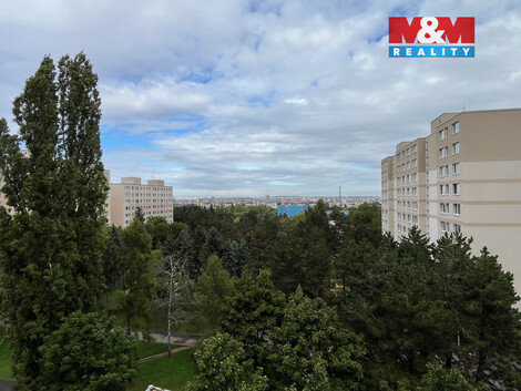 920/foto12_11382641_ngva0.jpg