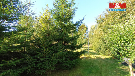 920/foto12_11382933_8dqyo.jpg