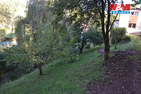 920/foto12_11384456_rylcg.jpg