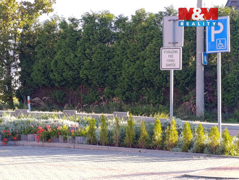 920/foto12_11385114_zhklc.jpg