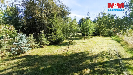920/foto12_11462278_15mos0.jpg