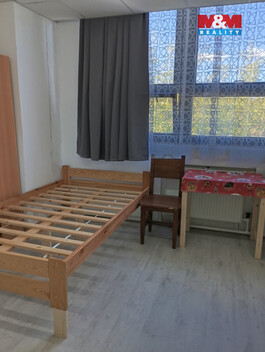 921/foto12_11383817_1hhm2g.jpg