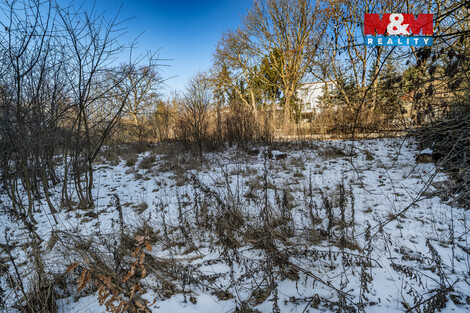 922/foto12_11469595_mtok.jpg