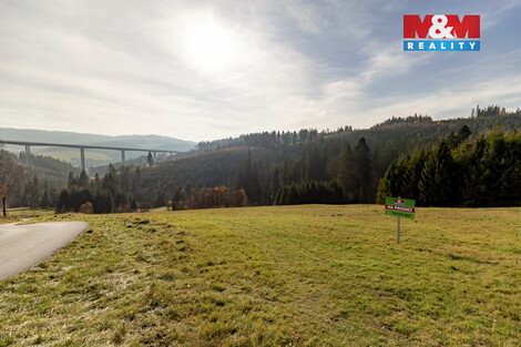 924/foto12_11485462_jfyos.jpg