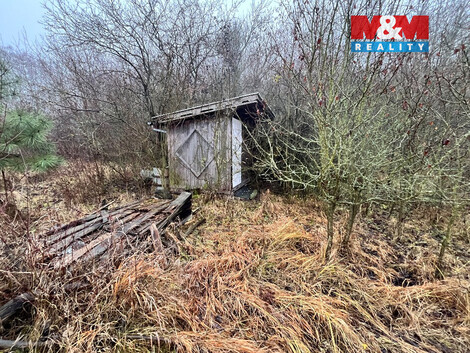 926/foto12_11470315_1m6rt0.jpg