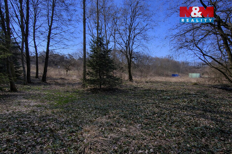 930/foto12_11465977_10fwe8.jpg