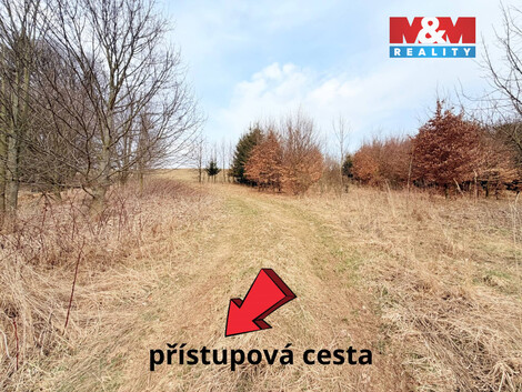 930/foto12_11466834_gy9r4.jpg