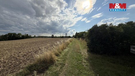 932/foto12_11509462_1j2zt4.jpg