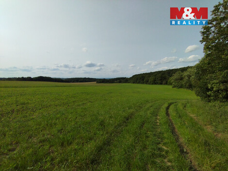 934/foto12_11463057_etisg.jpg