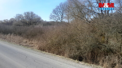 935/foto12_11460497_1glrgo.jpg