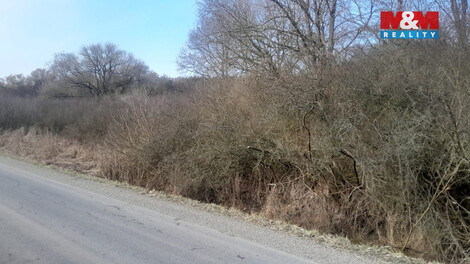 935/foto12_11460497_1mdjk0.jpg
