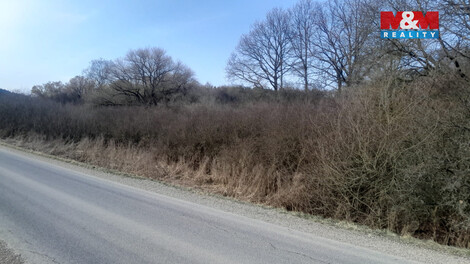 935/foto12_11460497_qgo7w.jpg