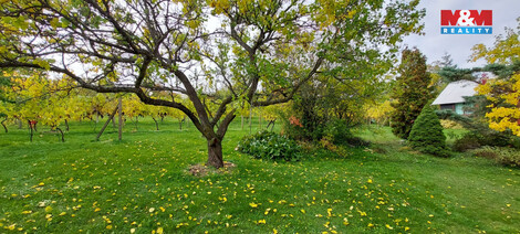 935/foto12_11462212_fn75k.jpg