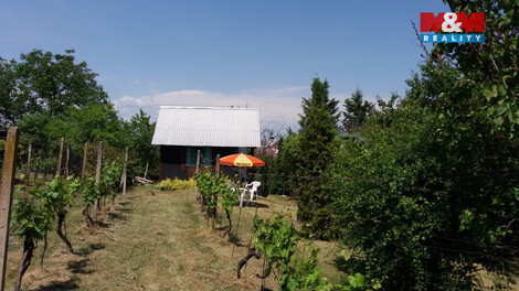 935/foto12_11462212_m8c44.jpg