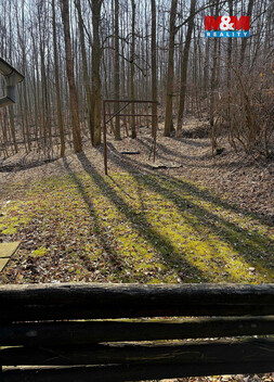 935/foto12_11497937_wmtd4.jpg
