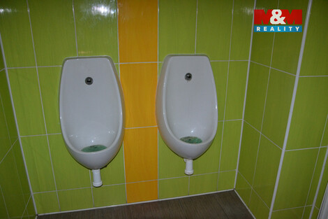 936/foto12_11466039_lf8tc.jpg