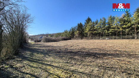 936/foto12_11471523_pbolo.jpg